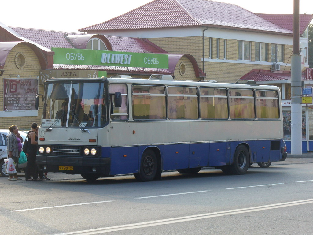 Костромская область, Ikarus 256.75 № 501