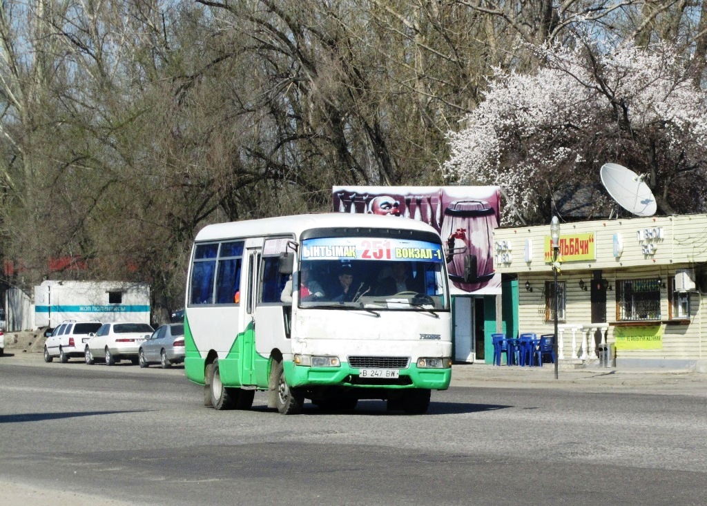 Алматинская область, Wanda WD6600C1 № B 247 BW