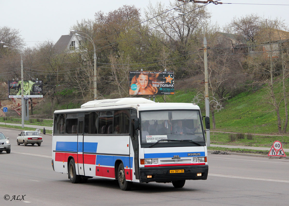 Воронежская область, Ikarus 253.52 № АХ 381 36