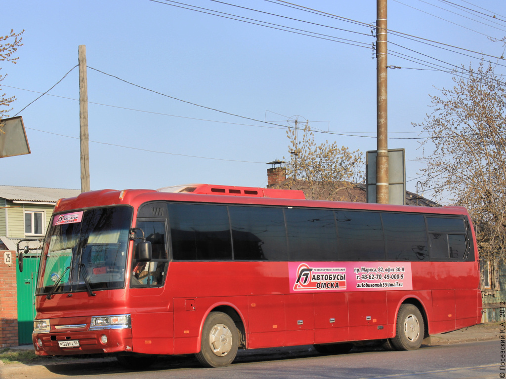 Омская область, Hyundai Aero Hi-Space № 19