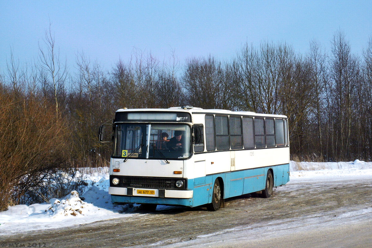 Ленинградская область, Ikarus 263.10 № АЕ 677 47