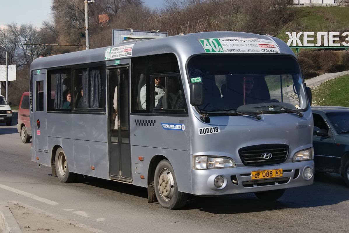 Ростовская область, Hyundai County LWB C09 (ТагАЗ) № 005013