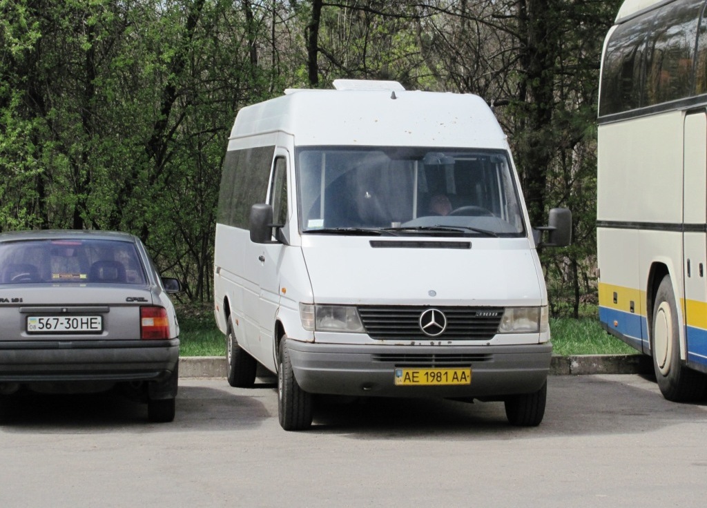 Днепропетровская область, Mercedes-Benz Sprinter W903 310D № AE 1981 AA