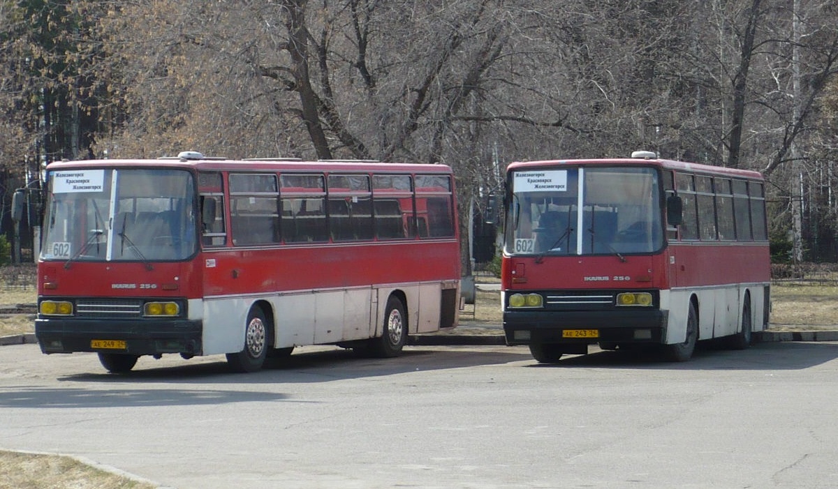 Красноярский край, Ikarus 256.74 № АЕ 243 24; Красноярский край, Ikarus 256.74 № АЕ 249 24; Красноярский край — Разные фотографии