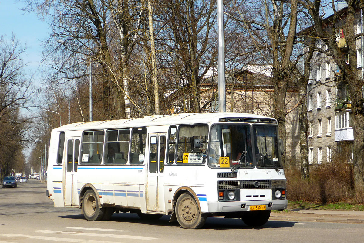 Ленинградская область, ПАЗ-4234 № 1985