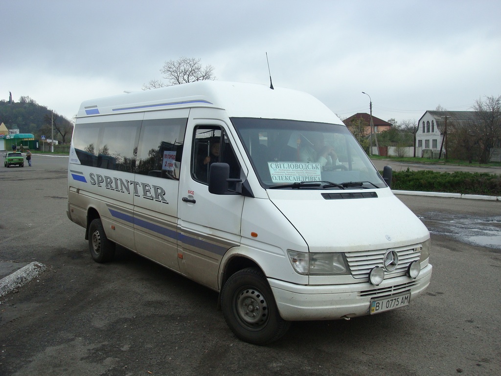 Кировоградская область, Mercedes-Benz Sprinter W903 312D № BI 0775 AM