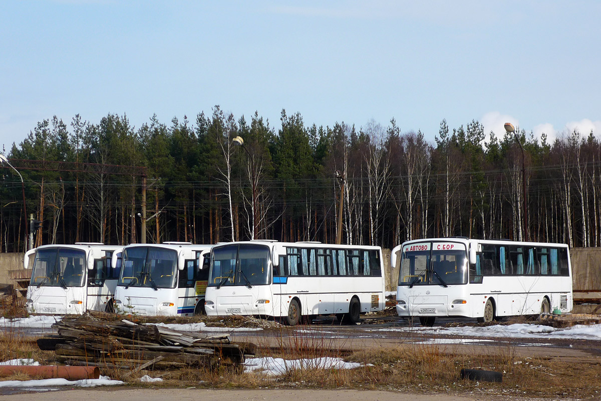 Ленинградская область, КАвЗ-4238-00 № В 256 СЕ 47; Ленинградская область, КАвЗ-4238-00 № ВЕ 425 78; Ленинградская область, КАвЗ-4238-01 № В 257 СМ 47; Ленинградская область, КАвЗ-4238-00 № В 260 СМ 47; Ленинградская область — Разные фотографии