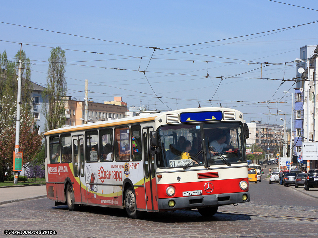 Калининградская область, Mercedes-Benz O307 № У 497 УУ 39