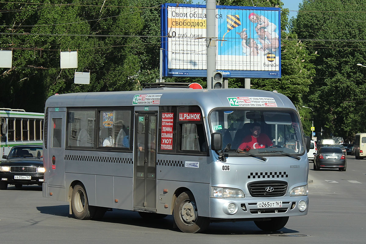 Ростовская область, Hyundai County LWB C11 (ТагАЗ) № 036