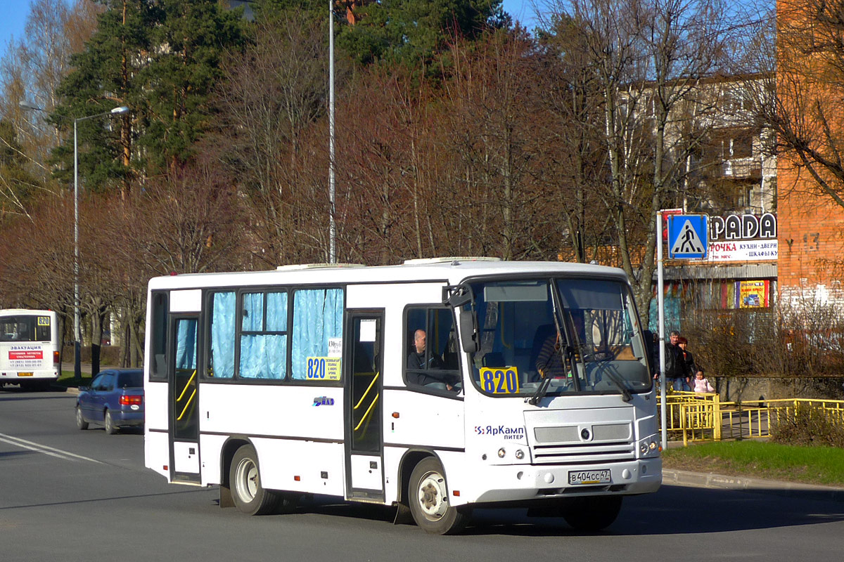 Ленинградская область, ПАЗ-320402-03 № В 404 СС 47