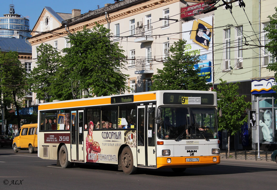 Воронежская область, MAN 791 SL202 № С 250 ТТ 36