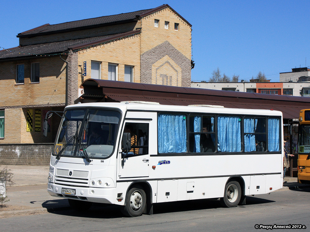 Ленинградская область, ПАЗ-320402-03 № В 404 СС 47