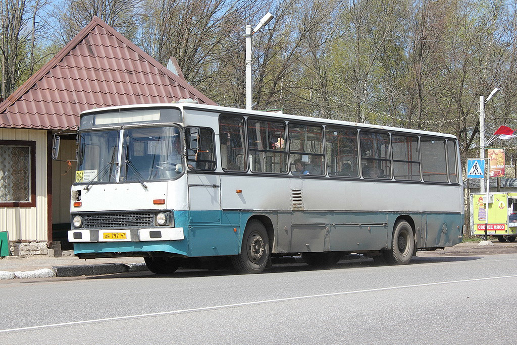 Ленинградская область, Ikarus 263.10 № АЕ 797 47