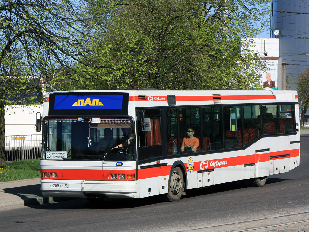 Калининградская область, Neoplan N4014NF № 205