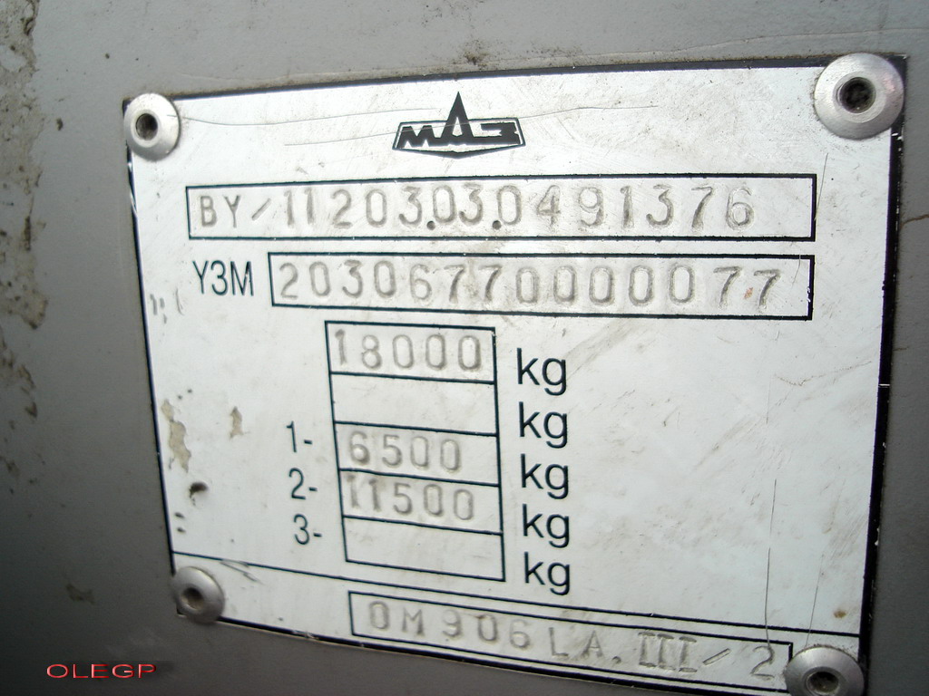 Витебская область, МАЗ-203.067 № 073831