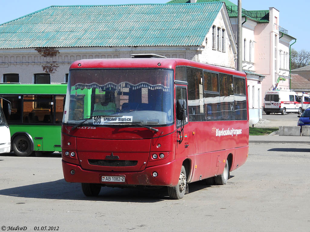 Витебская область, МАЗ-256.170 № 020273