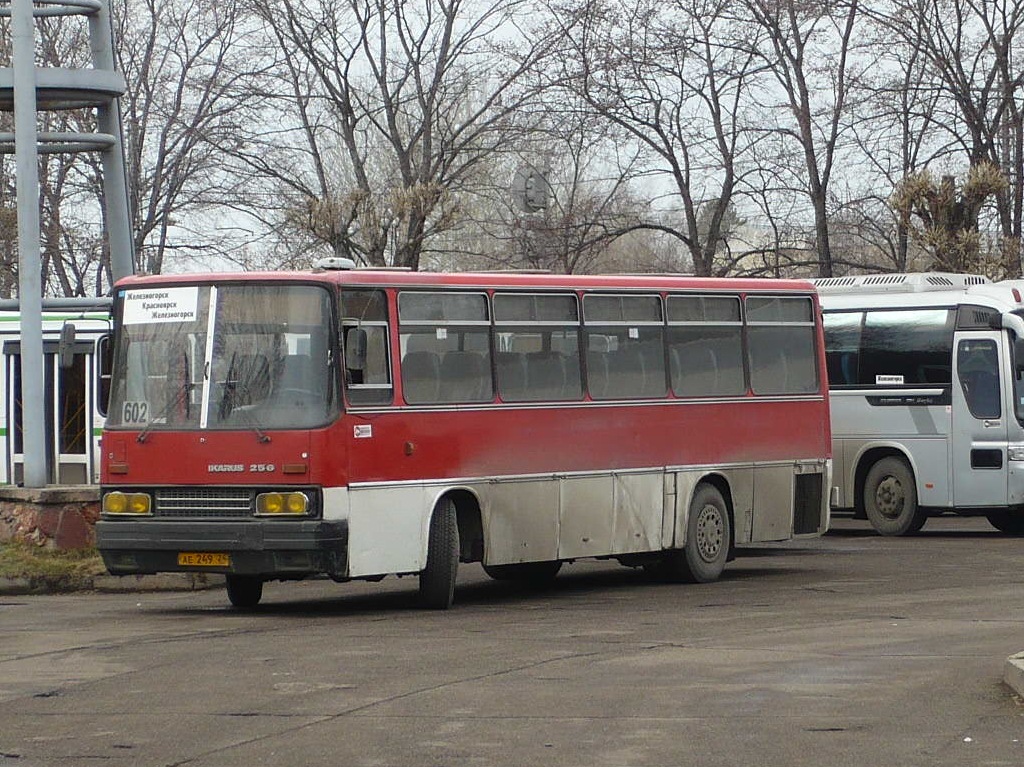 Красноярский край, Ikarus 256.74 № АЕ 249 24