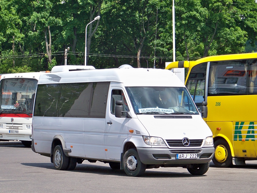 Литва, Mercedes-Benz Sprinter W904 416CDI № ARJ 222