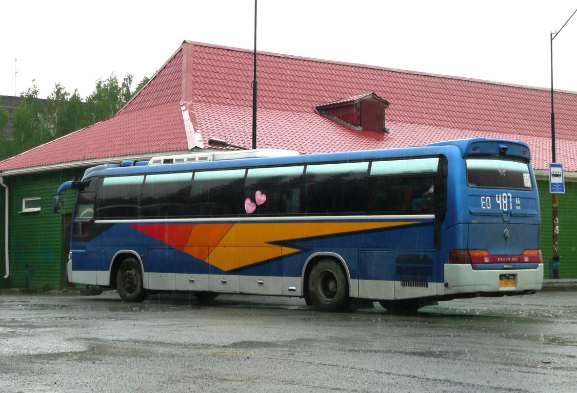 Свердловская область, Kia KM948 Granbird Greenfield № 487