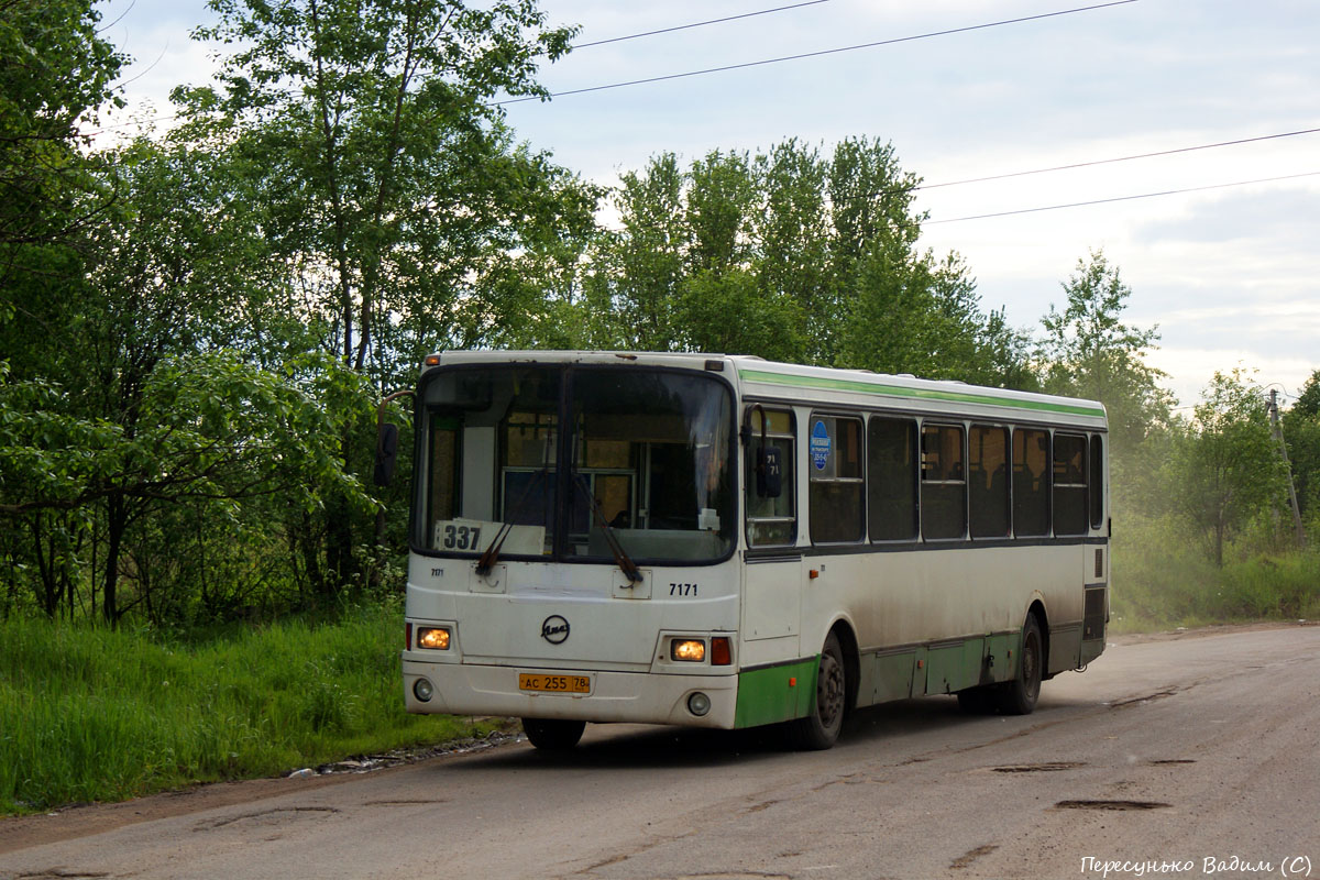 Санкт-Петербург, ЛиАЗ-5256.26 № 7171