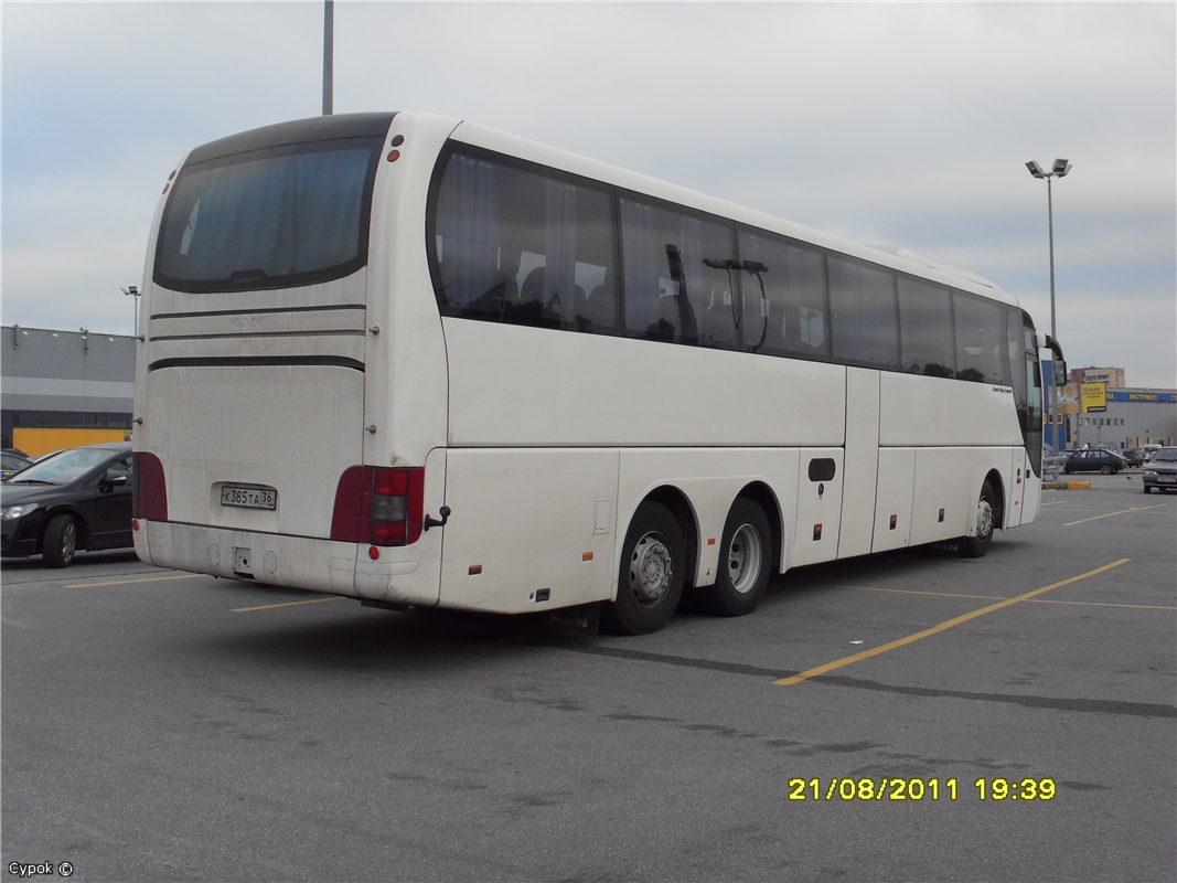 Воронежская область, MAN R08 Lion's Top Coach RHC414 № К 385 ТА 36