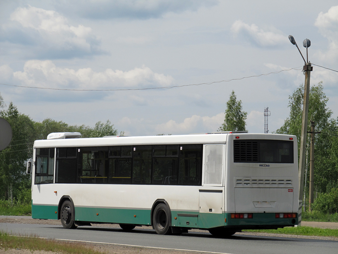 Санкт-Петербург — Новые автобусы