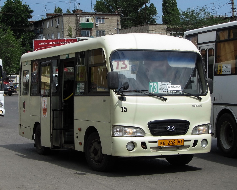 Ростовская область, Hyundai County SWB C08 (РЗГА) № 75