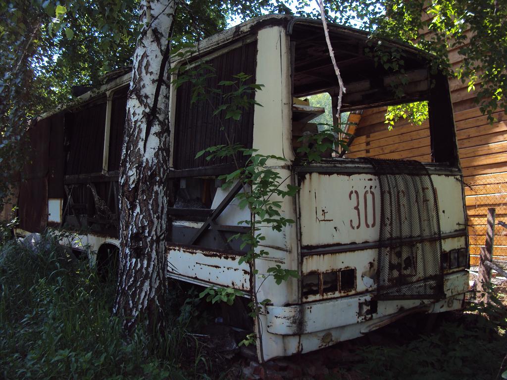 Obwód kemerowski - Kuzbas, Ikarus 260.01 Nr 384