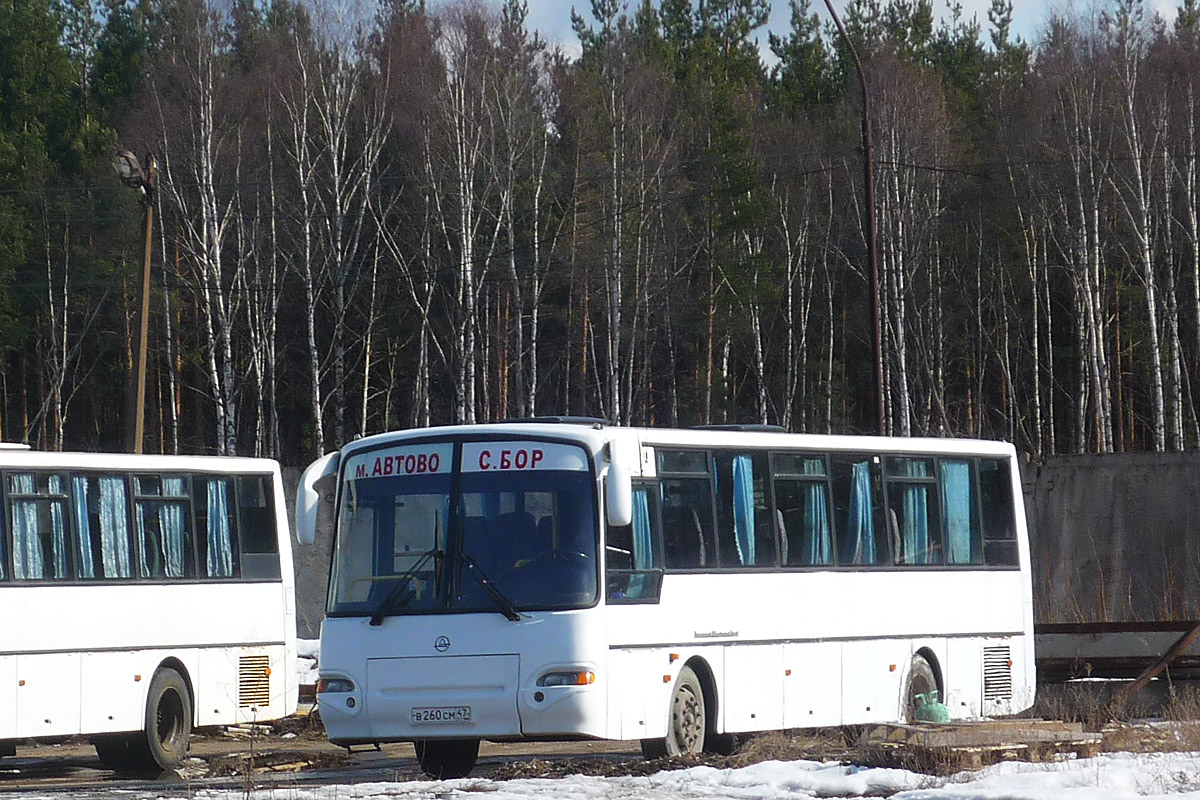 Ленинградская область, КАвЗ-4238-00 № В 260 СМ 47