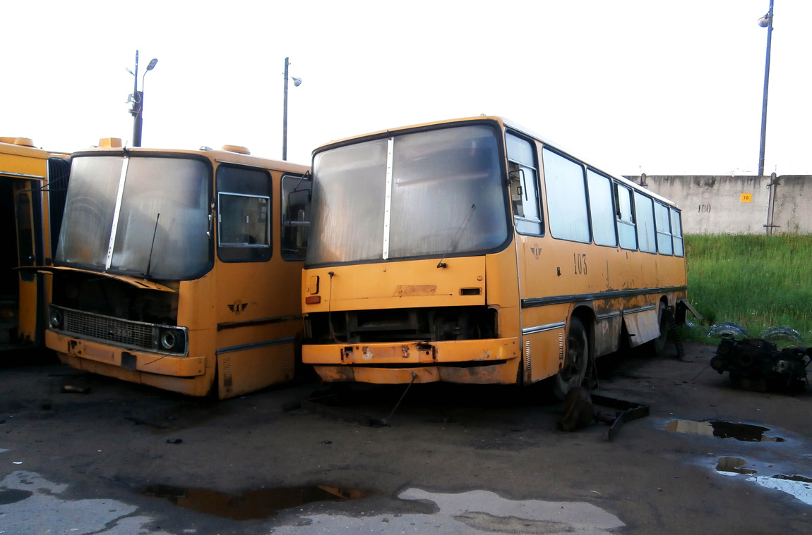 Ярославская область, Ikarus 260.50 № 103