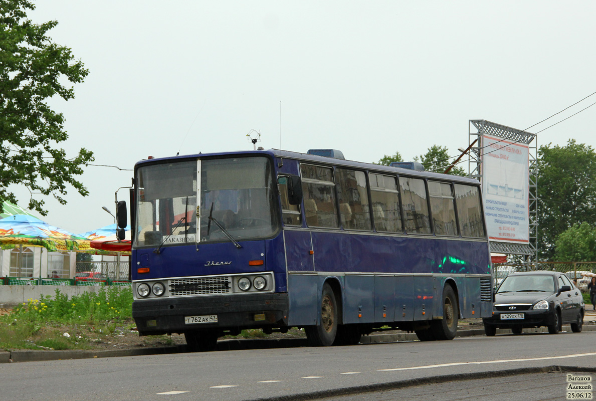 Ленинградская область, Ikarus 250.59 № Т 762 АК 47 — Фото — Автобусный  транспорт