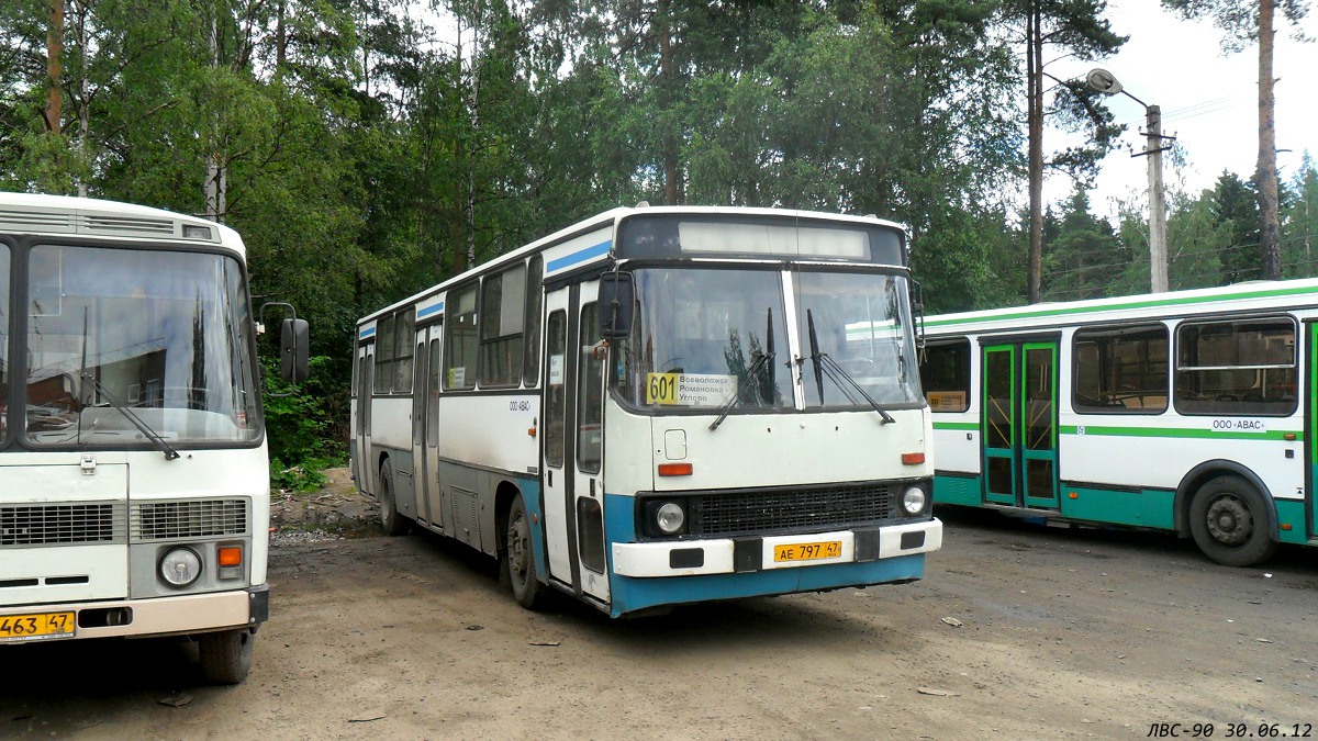 Ленинградская область, Ikarus 263.10 № АЕ 797 47