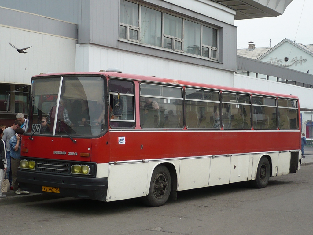 Красноярский край, Ikarus 256.74 № АЕ 242 24
