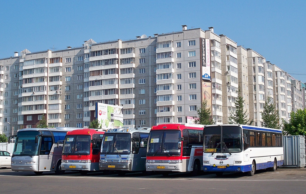 Krasnoyarsk region, Kia Granbird # АТ 619 24; Krasnoyarsk region, LiAZ-5256.23-01 (GolAZ) # ЕВ 192 24; Krasnoyarsk region — Miscellaneous photos