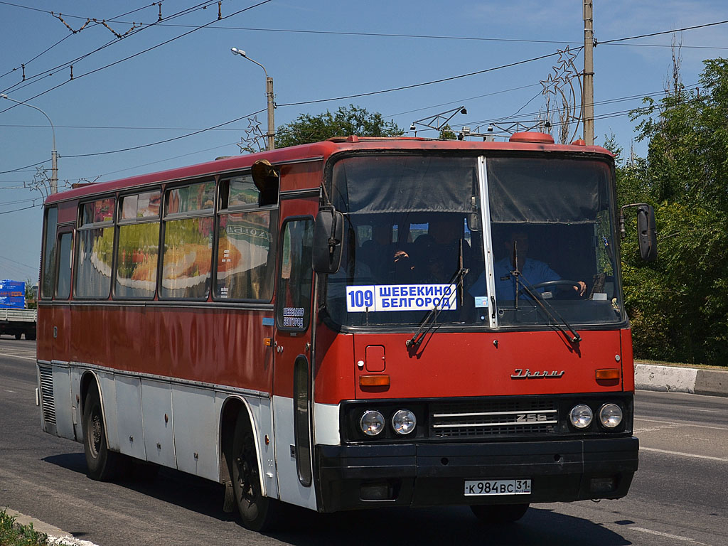 Номер автобуса старый оскол. Икарус 256 Белгород. Ikarus 256 в Белгороде. 109 Шебекино Белгород. Ikarus 256 Белгород Железногорск.