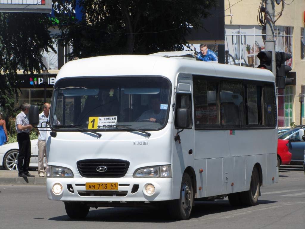 Ростовская область, Hyundai County LWB C11 (ТагАЗ) № АМ 713 61