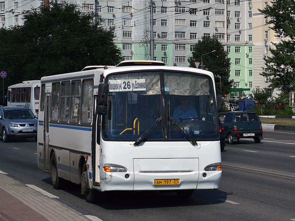 Белгородская область, ПАЗ-4230-03 № АМ 197 31