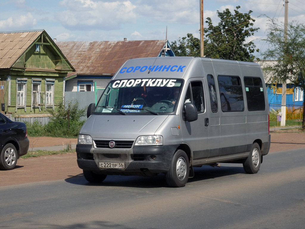 Оренбургская область, FIAT Ducato 244 CSMMC, -RT № С 222 ЕР 56 — Фото —  Автобусный транспорт