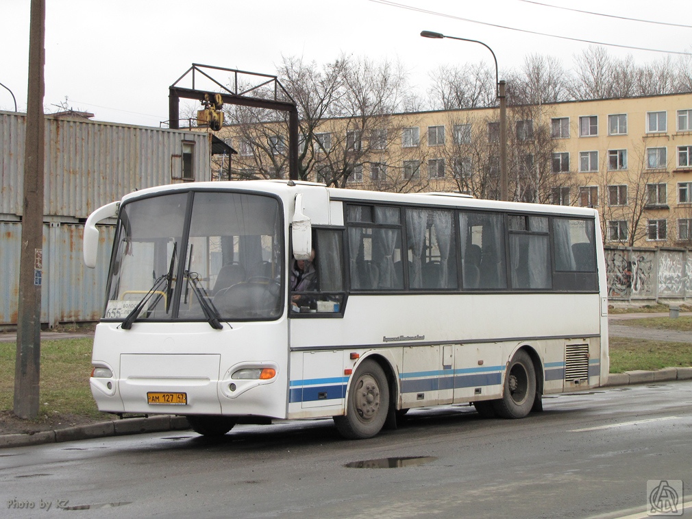 Ленинградская область, КАвЗ-4235-01 (1-1) № АМ 127 47