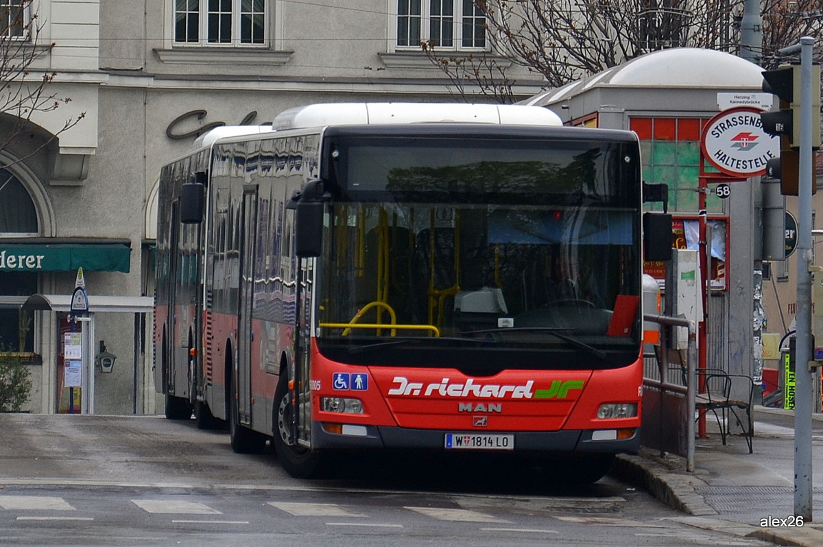 Австрия, MAN A21 Lion's City NL313 № R8805