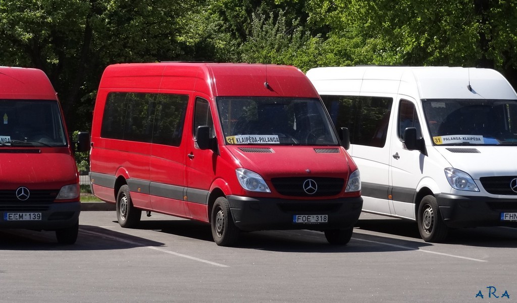 Litauen, Mercedes-Benz Sprinter W906 313CDI Nr. 07