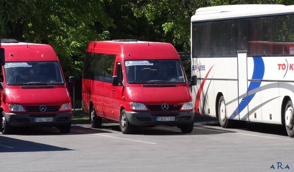 Литва, Mercedes-Benz Sprinter W903 313CDI № 05