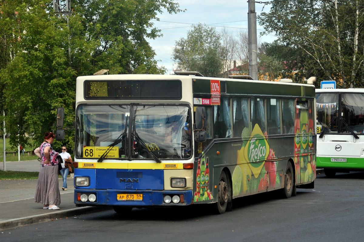 Пермский край, MAN 791 SL202 № АР 870 59