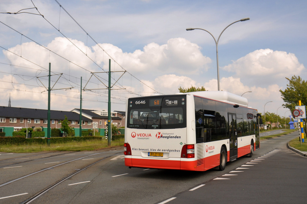 Нидерланды, MAN A21 Lion's City NL243 CNG № 6646