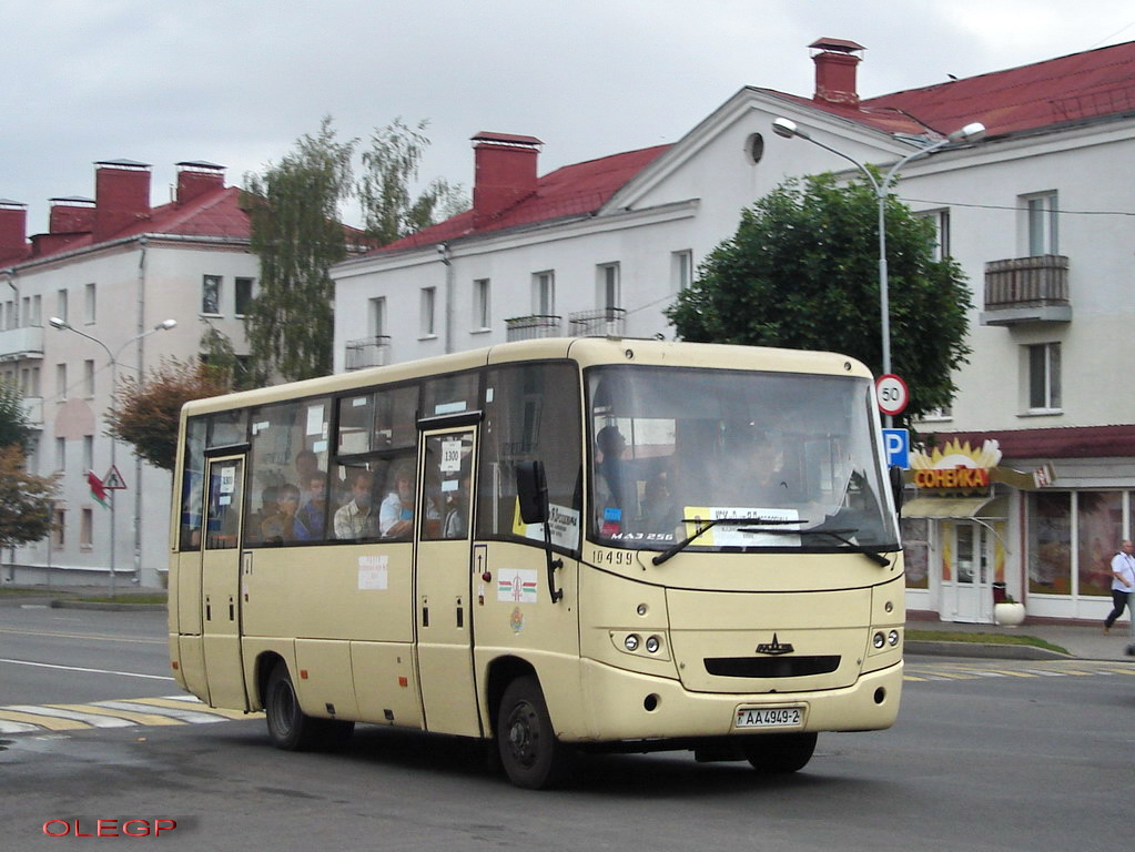 Витебская область, МАЗ-256.200 № 10499