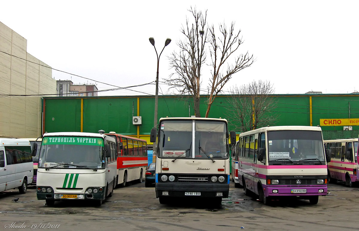 Тернопольская область, Богдан А09212 № BO 0851 AA; Ивано-Франковская область, Ikarus 256.75 № 4380 ІВА; Хмельницкая область, БАЗ-А079.23 "Мальва" № BX 8102 BB; Тернопольская область — Разные фотографии