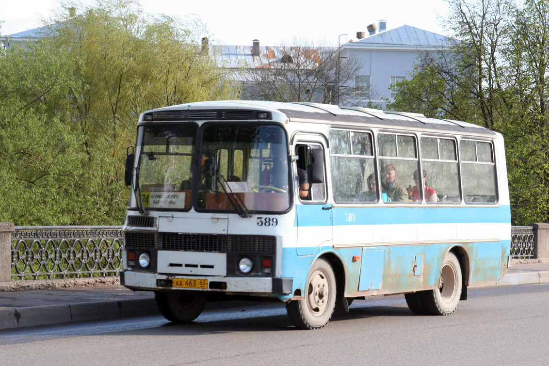 Псковская область, ПАЗ-3205-110 № 389