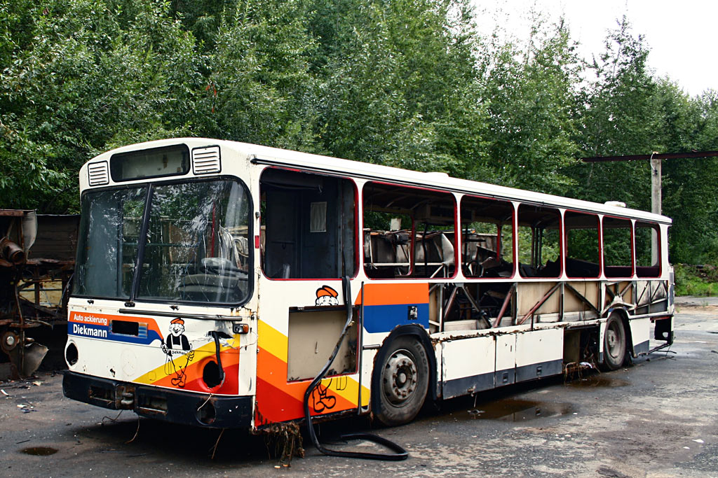 Пермский край — Автобусы без номеров