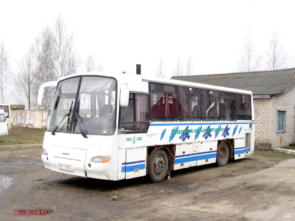 Витебская область, ПАЗ-4230-02 № ВЕ 9876