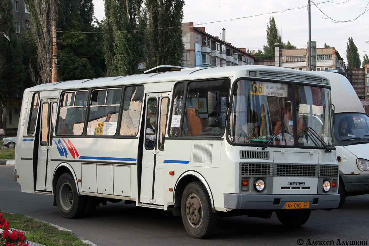 Воронежская область, ПАЗ-4234 № АУ 065 36